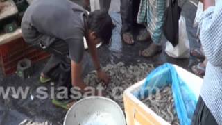 Fish sale at Musheerabad on Mirag Day [upl. by Dnarb779]