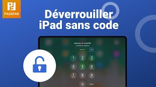 3 solutions pour déverrouiller un iPad sans code [upl. by Teresa]