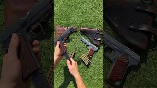 Which Would You Choose  Radom VIS 35 vs Tokarev TT [upl. by Narcis431]