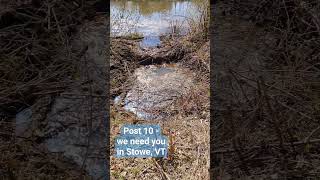 Help Stowe VT post10 blockages drain culvert [upl. by Cristin]