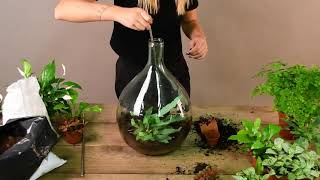 Plant Terrarium by Esschert Design [upl. by Muscolo]