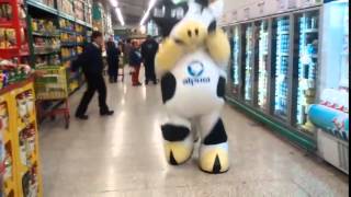 La Vaca de Alpura baila en el supermercado [upl. by Aicilef]