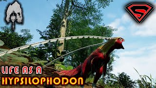 THE ISLE  The life of the HYPSILOPHODON  Annoying or feeding other Dinos with the HYPSI [upl. by Henigman232]