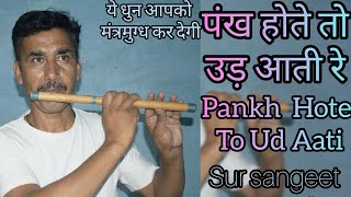 Pankh Hote To Ud Aati Re।। पंख होते तो उड़ आती रे।। [upl. by Martynne]