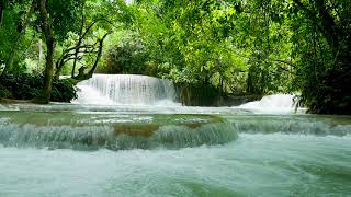 Most Soothing Cascade Waterfall Stream Sound Waterfall 4k Nature Sounds White Noise for Sleeping [upl. by Ninel]