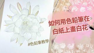 如何用色鉛筆在白紙上畫白花 [upl. by Akel]