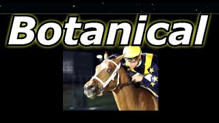 Botanical All Starts Kentucky Oaks Gate 6 Odds 41 [upl. by Rimhsak]