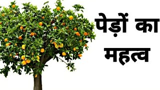 पेड़ों का महत्व  Importance Of Trees In Hindi  Kidos Edu Point [upl. by Shoshana]