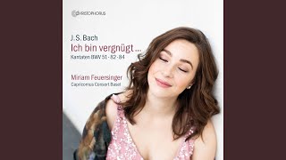 Ich habe genug BWV 82 II Ich habe genug Recitativo [upl. by Libby]