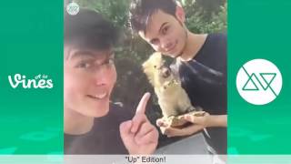 Thomas Sanders Disney Pranks With Friends Vine Compilation 2016 [upl. by Anirec]