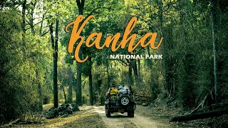 Kanha National Park  Jungle Safari May 2019 [upl. by Dixil999]