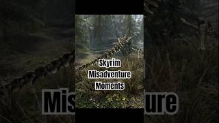 Some subjectively funny bits out of my latest video skyrim videogames gaming streamer [upl. by Oguh]