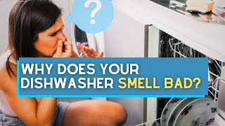 Why Does Your Dishwasher Smell Bad [upl. by Tonjes]