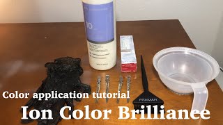 Color Application tutorial  Ion Color Brilliance for beginners [upl. by Yremrej]