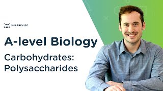 Carbohydrates Polysaccharides  Alevel Biology  OCR AQA Edexcel [upl. by Obel]