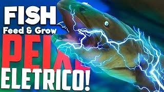 Peixe eletrico   Feed And Grow Fish [upl. by Tristan]