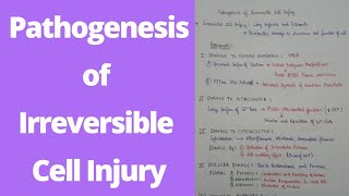 Pathogenesis of irreversible cell injury  2 sem BPharmacy  cellinjury pathophysiology [upl. by Ghassan]