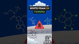 White foam in Yamuna 2024  Delhi Government  Toxic pollution yamuna delhi news viral shorts [upl. by Ebneter]