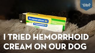 Home Remedies Hemorrhoid Cream for Dogs [upl. by Farman]