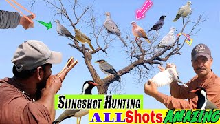 Best Handmade Slingshot Birds HuntingFirst Dove Shot [upl. by Nosirrag]