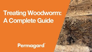 Treating Woodworm A Complete Guide [upl. by Euqinna]