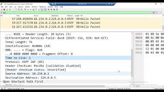 New CCNP Day 25 OSPF LAB 2 [upl. by Anemix158]