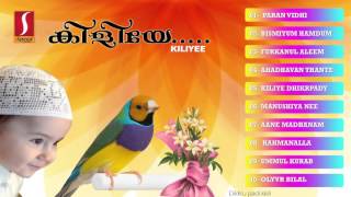 kiliye കിളിയേ   New audio album songs  Muslim audio mappila songs [upl. by Vidda]