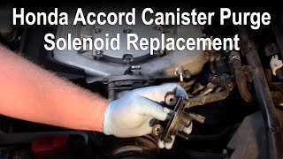 Honda Accord Canister Purge Solenoid Replacement [upl. by Neerehs161]