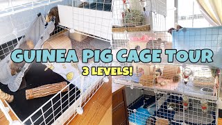 THREE TIER GUINEA PIG CAGE TOUR [upl. by Eidnar]