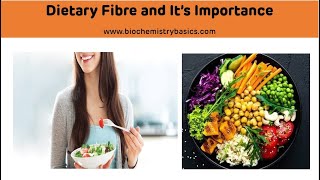 Myths about fibre  how fibre causes constipation and bloating [upl. by Gilbertson191]