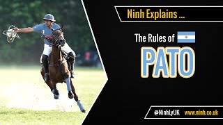 The Rules of Pato Horseball  EXPLAINED [upl. by Aray]