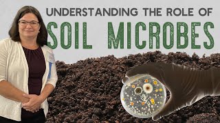 Understanding the Role of Soil Microbes with Laura Decker [upl. by Ydaf]