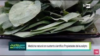 Conoce las propiedades medicinales del Eucalipto Junta Médica TV Perú [upl. by Warrenne]