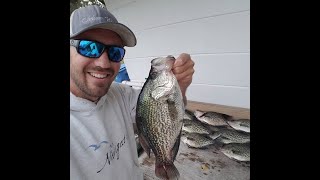 Catching Big Specks Crappie in Central Florida [upl. by Nyllewell]