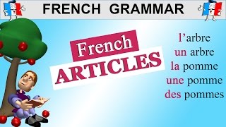 FRENCH ARTICLES  DEFINITE INDEFINITE amp PARTITIVE ARTICLES IN FRENCH [upl. by Trix328]