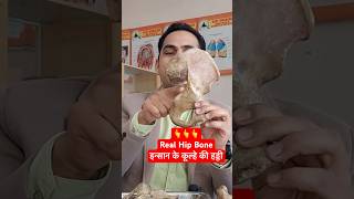 इंसान के कूल्हे की हड्डी । Real Hip Bone viral shorts [upl. by Fleeta]