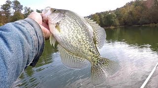 How To Locate and Catch Crappie In The Fall [upl. by Nimra]