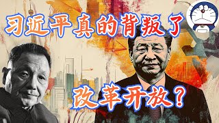 方脸说：中国经济出问题真的是因为习近平背叛了改革开放？为什么我说习近平其实是邓小平改革开放的修补匠？改革开放的本质丨邓小平120周年 [upl. by Thorbert931]