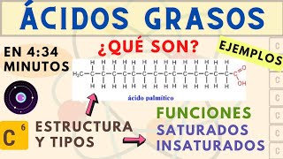 ÁCIDOS GRASOS SATURADOS E INSATURADOS TIPOS DE ÁCIDOS GRASOS BIOQUIMICA  QUE SON LOS ÁCIDOS GRASOS [upl. by Pitzer222]