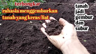 Cara menggemburkan tanah yang keras [upl. by Ayek]