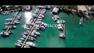 THE ABACOS [upl. by Neelloc]