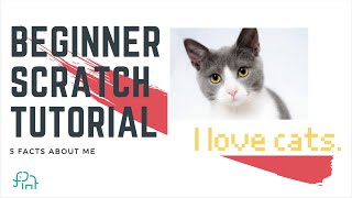 HOW TO MAKE A MEME ON SCRATCH [upl. by Ermine]