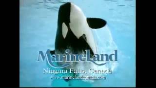 Marineland Remix Bust [upl. by Frasquito]