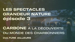 Les spectacles grandeur nature   3  Carbone  Patrimoine culturel 2024 [upl. by Ioves]