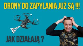 Drony do zapylania  czy to nowe zagrożenie dla pszczół [upl. by Hadeehsar]