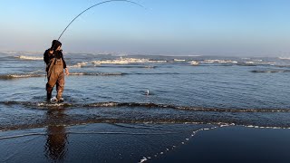 WASHINGTON COAST SURF FISHING [upl. by Meehar]