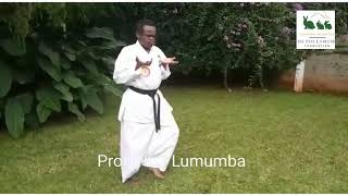 Prof PLO Lumumba showing incredible Karate moves [upl. by Rinna88]