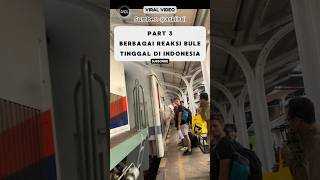 Reaksi Bule Tinggal Di Indonesia Pohon Besar Bikin Kesurupan⁉️ reaksibule shorts viralvideo [upl. by Ramat]