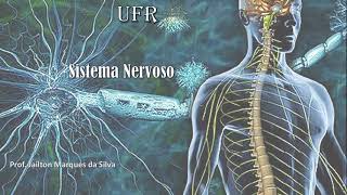 Aula 1  Bases Biológicas dos Processos Psicológicos  Sistema nervoso [upl. by Byrne462]