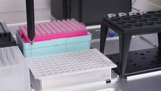 Automating PCR Prep with OT 2 Pipetting Robot [upl. by Tonkin]